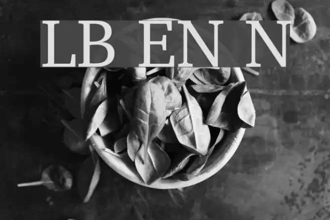 LeedsBit EuroNorth Normal Font examples