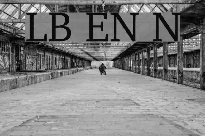 LeedsBit EuroNorth Normal Font examples