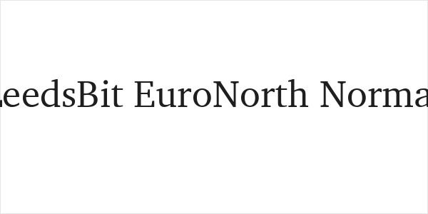 LeedsBit EuroNorth Normal Logo