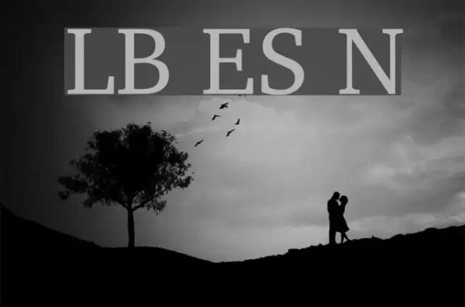 LeedsBit EuroSouth Normal Font examples