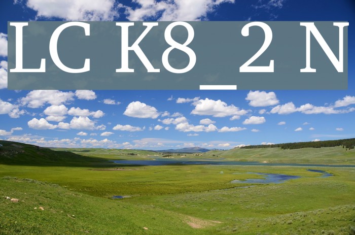 LeedsCyr Koi8_2 Normal Font examples