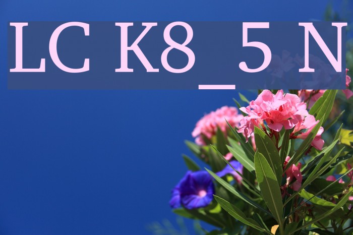 LeedsCyr Koi8_5 Normal Font examples