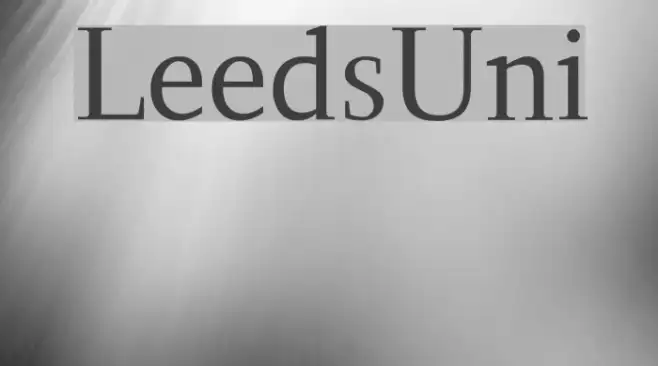 LeedsUni Example 1