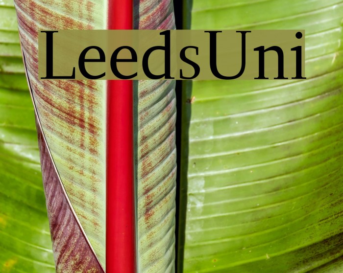 LeedsUni Font examples