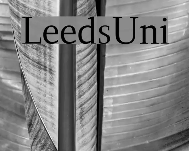 LeedsUni Example 2