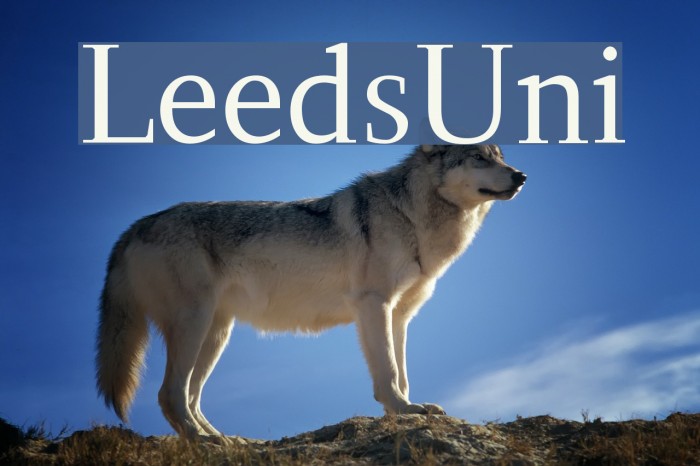 LeedsUni Font examples