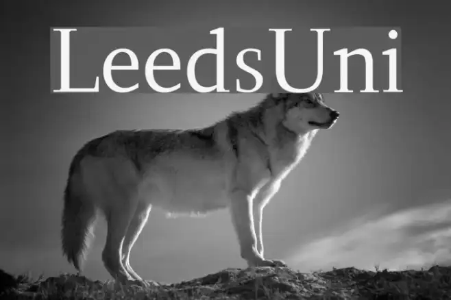 LeedsUni Example 3