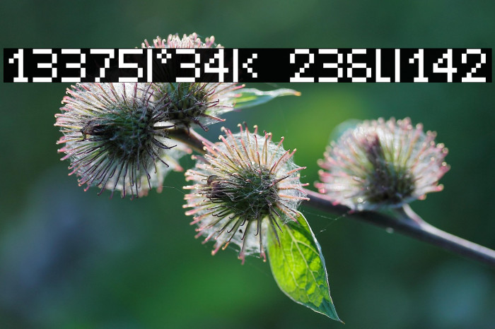 LeetSpeak Regular Example 1