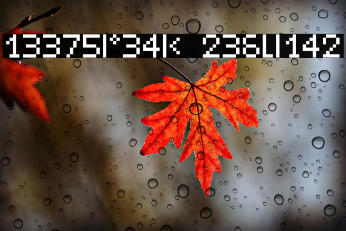 LeetSpeak Regular Example 2