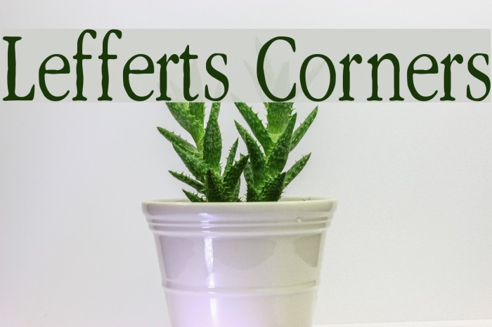 Lefferts Corners Font examples