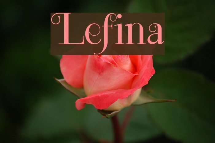 Lefina Font examples