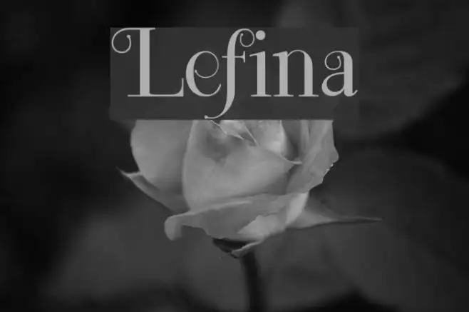 Lefina Example 2
