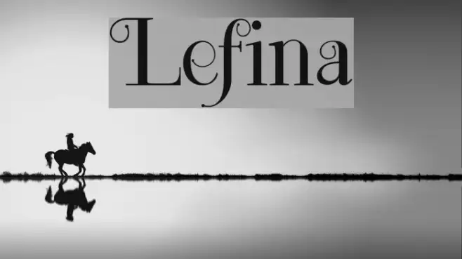 Lefina Example 3