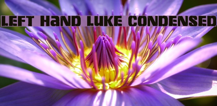 Left Hand Luke Condensed Font examples