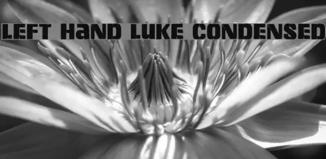 Left Hand Luke Condensed Font examples