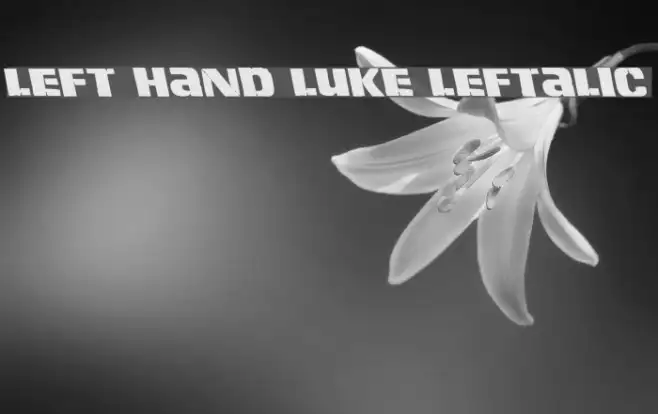 Left Hand Luke Leftalic Example 1
