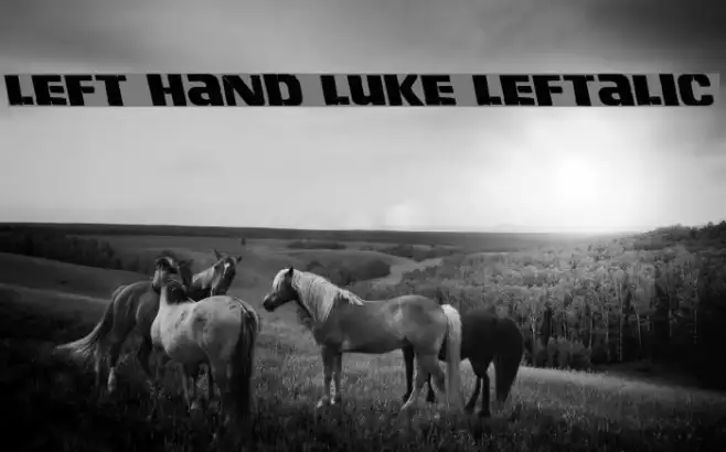 Left Hand Luke Leftalic Example 2