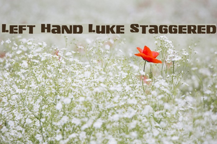 Left Hand Luke Staggered Example 3