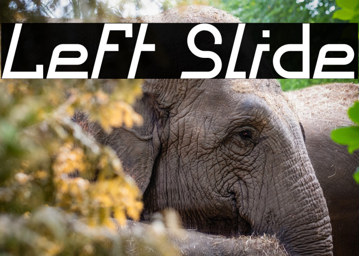 Left Slide Example 3