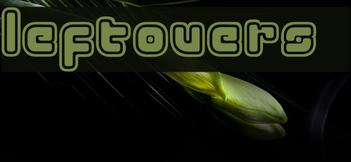 LeftOvers 4 Example 1