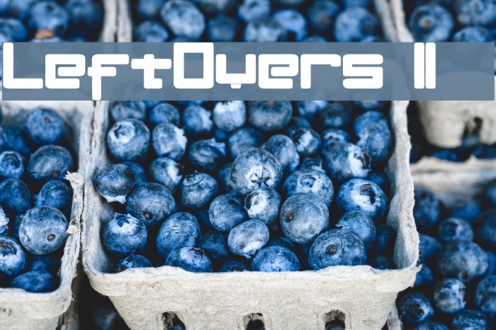 LeftOvers II 3 1 Font examples