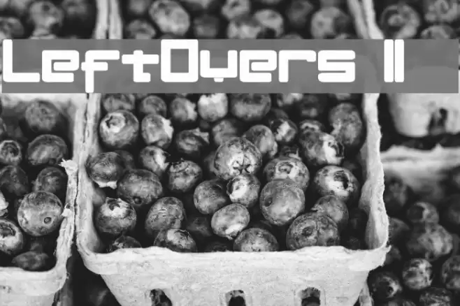 LeftOvers II 3 1 Шрифта examples