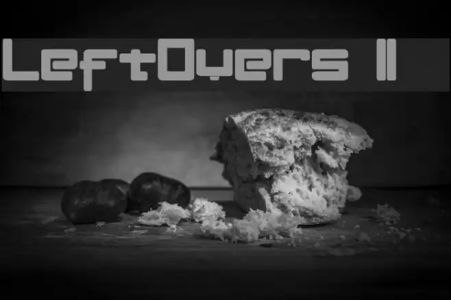 LeftOvers II 3 1 Шрифта examples
