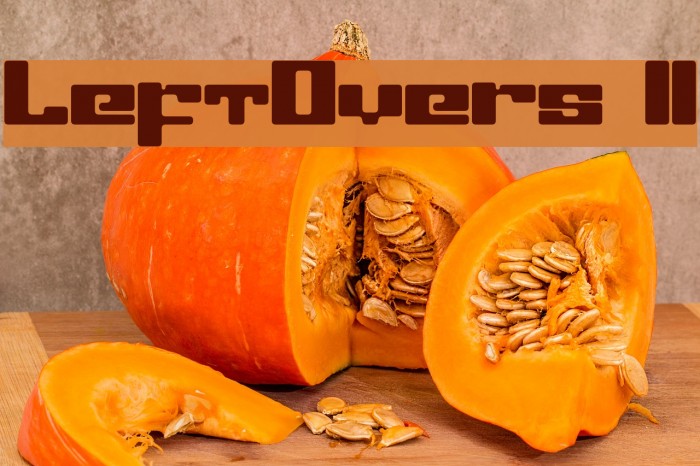 LeftOvers II Font examples