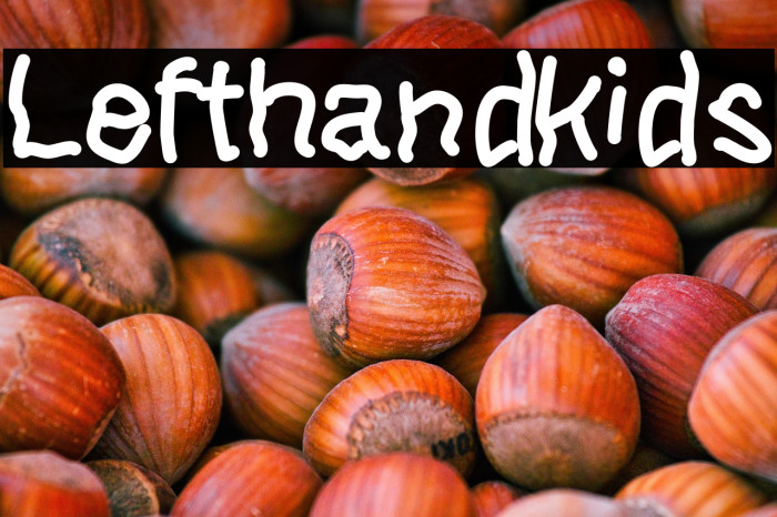 Lefthandkids Example 2