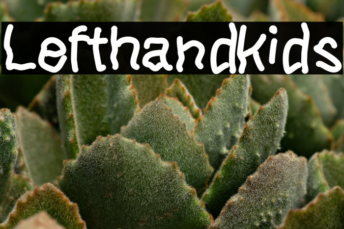 Lefthandkids Example 3