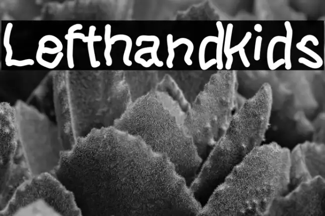 Lefthandkids Example 3