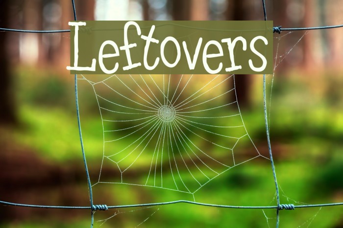 leftovers-font-ffonts