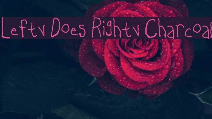Lefty Does Righty Charcoal Font examples