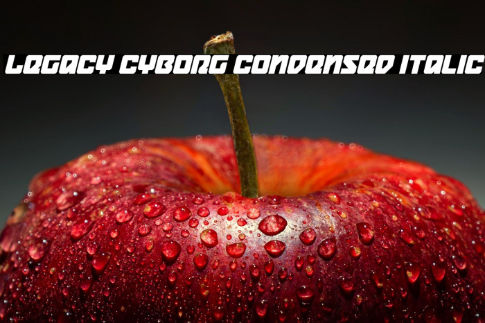 Legacy Cyborg Condensed Italic Example 2