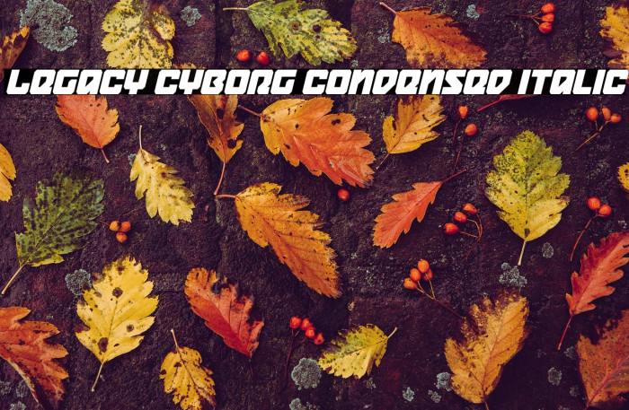Legacy Cyborg Condensed Italic Example 3