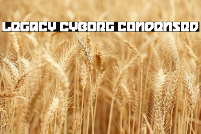 Legacy Cyborg Condensed Example 1