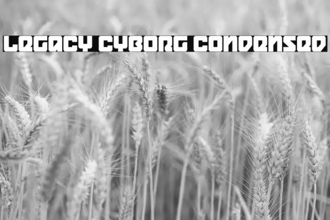 Legacy Cyborg Condensed Example 1