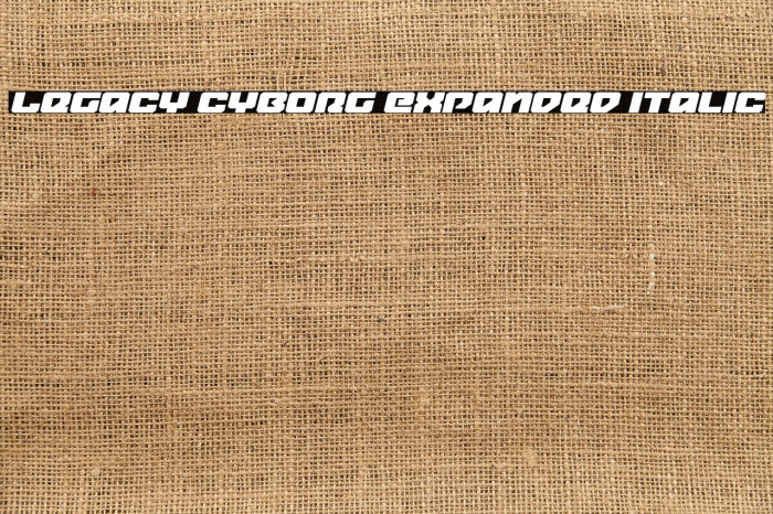Legacy Cyborg Expanded Italic Example 2