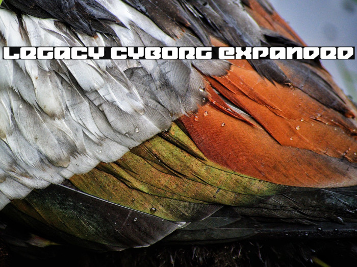 Legacy Cyborg Expanded Example 3