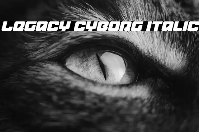 Legacy Cyborg Italic Example 3