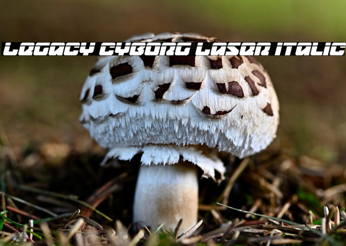 Legacy Cyborg Laser Italic Example 1