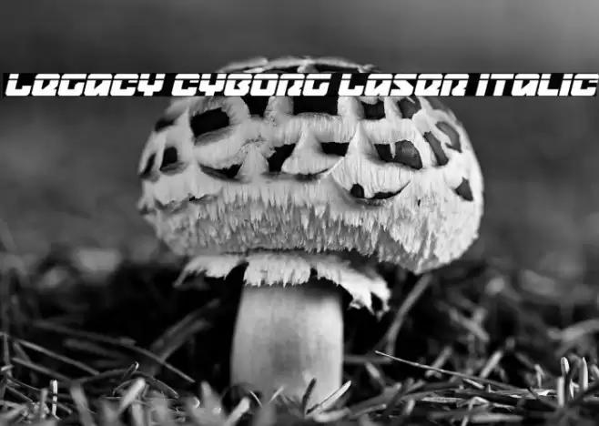 Legacy Cyborg Laser Italic Font examples