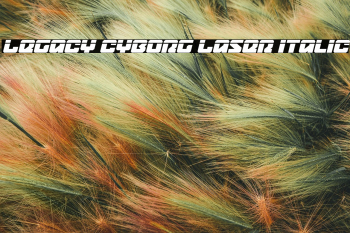 Legacy Cyborg Laser Italic Example 3