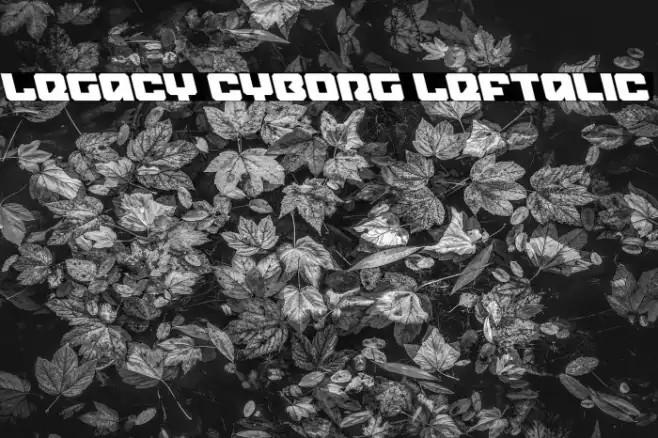 Legacy Cyborg Leftalic Example 1