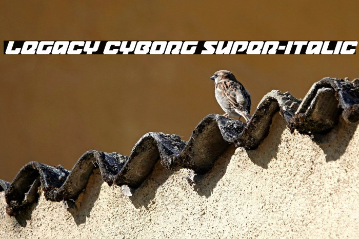 Legacy Cyborg Super-Italic Example 2