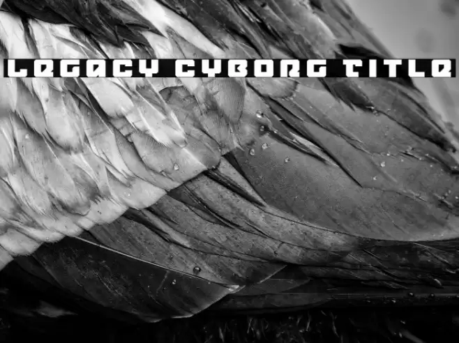 Legacy Cyborg Title Font examples