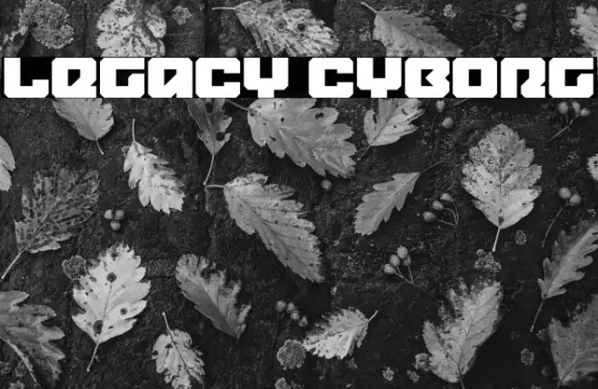Legacy Cyborg Example 1