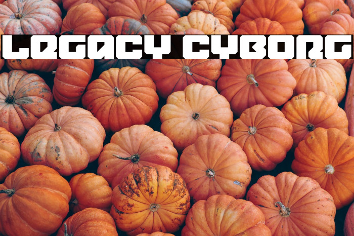 Legacy Cyborg Example 2