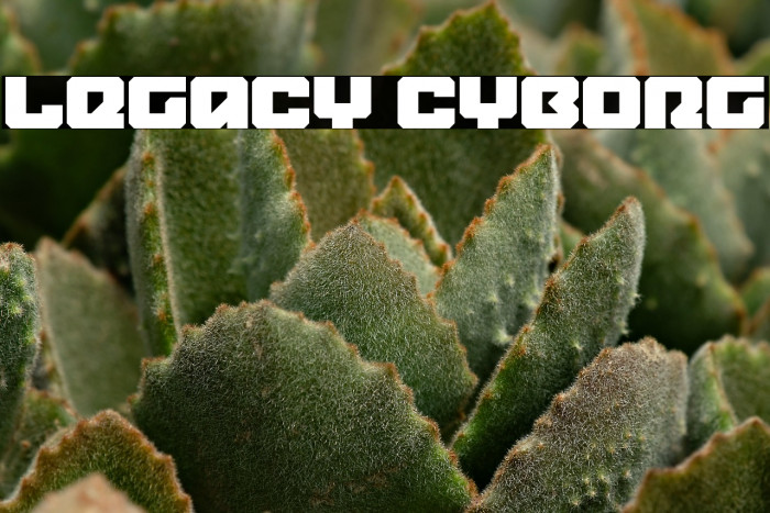 Legacy Cyborg Example 3