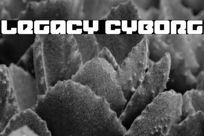 Legacy Cyborg Example 3